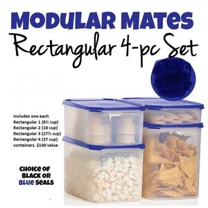 Modular Mates Rectangular 4-pc Set with Blue Seals